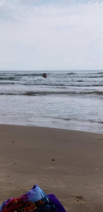 2 Bed 1 Bath Condo By Beach & Entertainment South Padre Island Exterior foto
